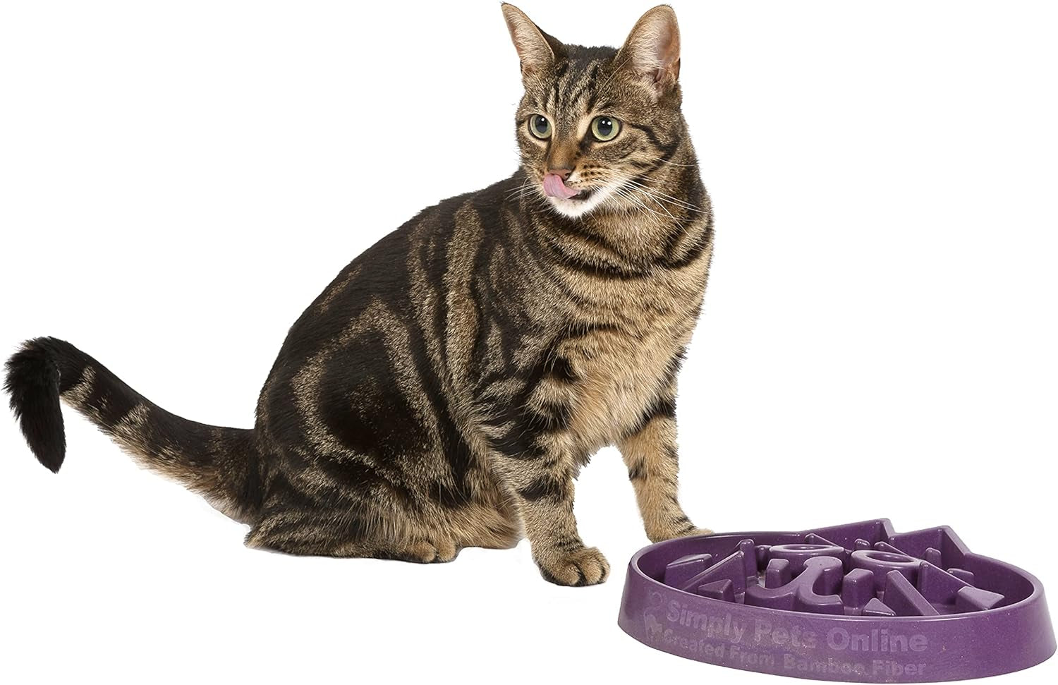 Slow Feeder Cat Bowl - Veterinarian Designed - Enrichment and Activity for Cats - Large Size - Bamboo Cat Puzzle Feeder